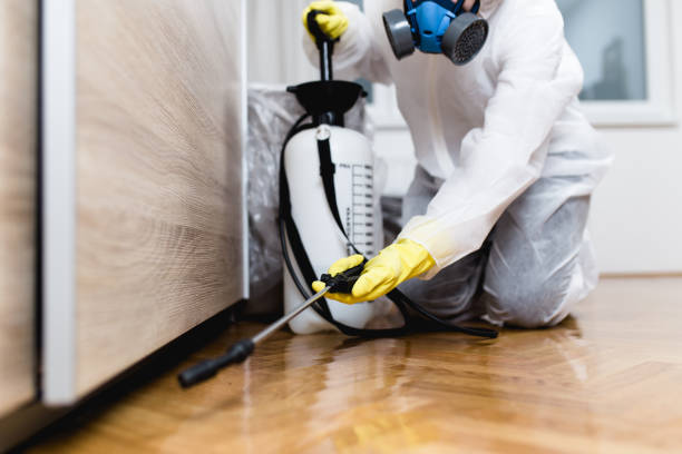 Best Pest Inspection Near Me  in Indian River Shores, FL