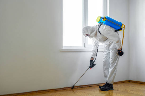 Best Flea Control Services  in Indian River Shores, FL