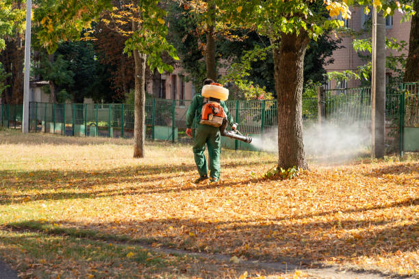 Best Emergency Pest Control  in Indian River Shores, FL