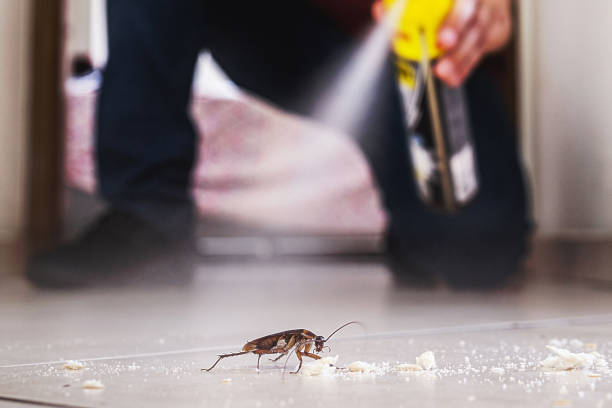 Best Exterminator Services  in Indian River Shores, FL