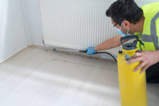 Best Pest Removal Services  in Indian River Shores, FL